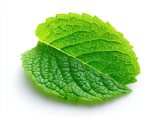 Obraz premium Close-up of a vibrant green leaf. Detailed vein structure is visible. Isolated on a white background