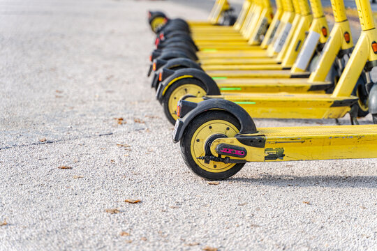 Row of rental scooters lined up on a city street