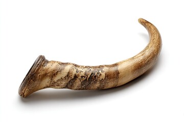 Antique-looking horn, light brown and dark streaks, curved, against white background