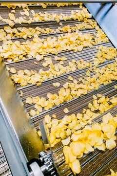 Potato chips on conveyor belt in production line