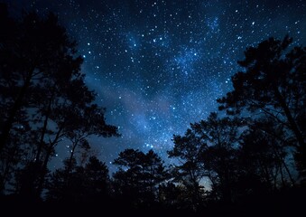 Starry sky view through trees