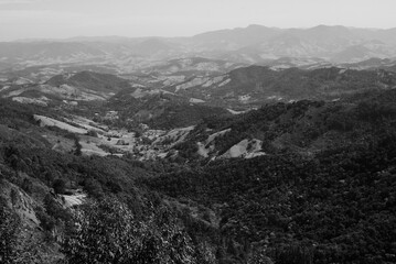 mountains in the fog