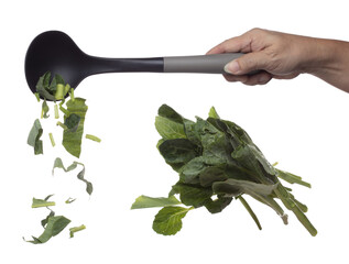 Kale fly fall in turner, green fresh vegetable chinese kale cut chop slice. Organic fresh vegetable with eaten leaf of chinese kale, heap close up texture. White background isolated freeze motion