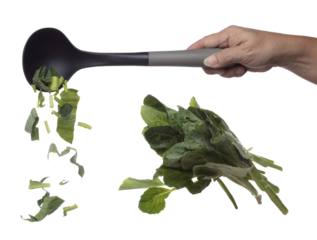 Kale fly fall in turner, green fresh vegetable chinese kale cut chop slice. Organic fresh vegetable with eaten leaf of chinese kale, heap close up texture. White background isolated freeze motion