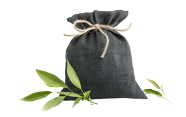 Natural bamboo charcoal air purifier pouch designed for eco friendly air cleaning, wellness, and healthy living isolated on transparent background PNG