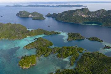 The islands of Pelee, composed of uplifted reefs and mangroves, rise from the seascape in Misool, Indonesia. This region harbors spectacular marine biological diversity and is a popular destination fo