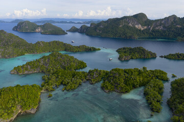 The islands of Pelee, composed of uplifted reefs and mangroves, rise from the seascape in Misool, Indonesia. This region harbors spectacular marine biological diversity and is a popular destination fo