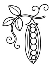 Naklejka premium Fresh Peas in Pod: A detailed, monochromatic illustration showcases a pea pod, its fresh peas perfectly aligned, attached to a delicate vine.