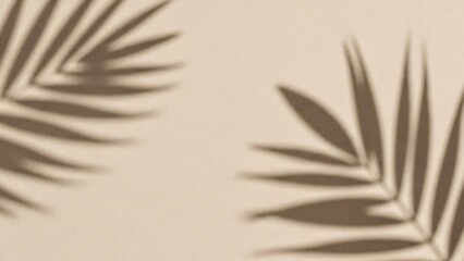 Shadows of palm leaves cast on a beige surface viewed from directly above