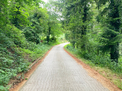 carretera curva estrecha rural de monta&ntilde;a entre el bosque pa&iacute;s vasco legazpi IMG_1850-as25