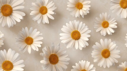 Overhead view of many daisy flowers with white petals and yellow centers on marble