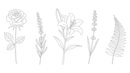 Elegant Botanical Line Art Collection - Rose, Lily, Lavender, and Fern Sketches.
