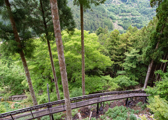 深い緑の山肌とモノレール軌道を見下ろす