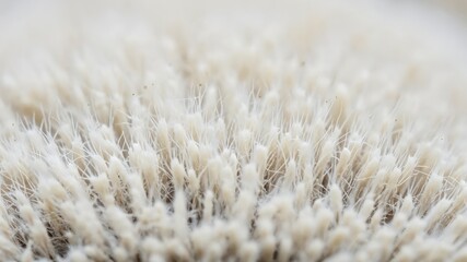 Detailed Close-Up of Soft Beige Textured Fabric with Fine Fibers for Crafting and Design Projects