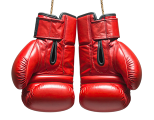 Close-up view of red leather boxing gloves suspended by ropes, isolated on white background