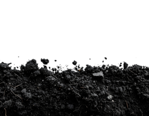 A close-up shot of dark, rich soil against a black background