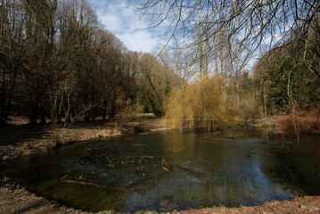 Baden-Württemberg - Forstliches Arboretum Liliental © Uwalthie Pic Project