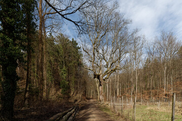 Baden-Württemberg - Forstliches Arboretum Liliental © Uwalthie Pic Project