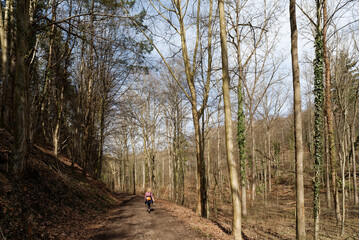 Baden-Württemberg - Forstliches Arboretum Liliental © Uwalthie Pic Project