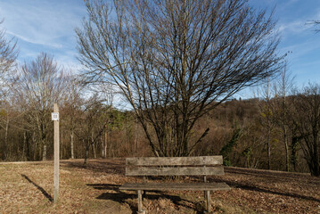 Baden-Württemberg - Forstliches Arboretum Liliental © Uwalthie Pic Project