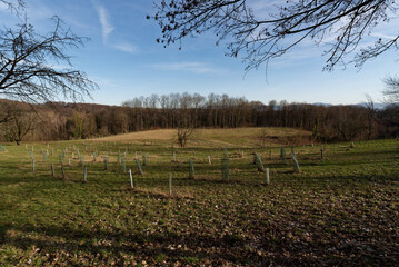 Baden-Württemberg - Forstliches Arboretum Liliental © Uwalthie Pic Project