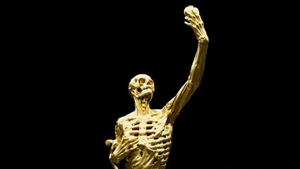 Close-up of Golden Anatomical Ecorche Statue Isolated on Black - Premium Medical Concept