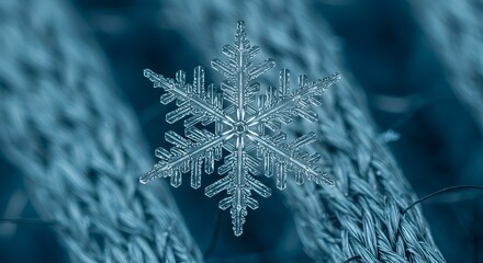 A macro shot features a snowflake with intricate crystalline structures against a blue fabric backdrop