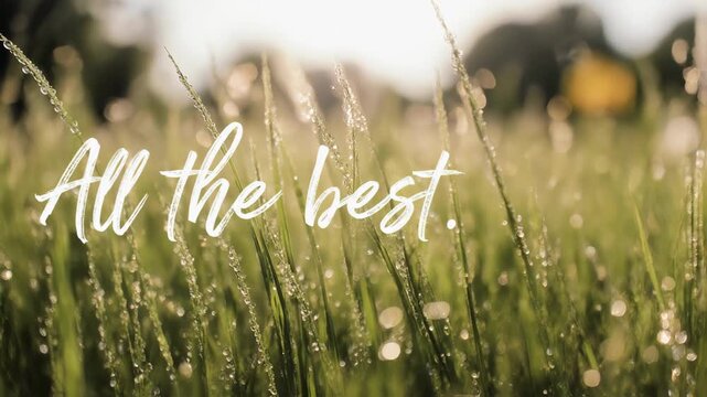 All The Best Greeting On A Dewy Morning Grass Background Video.