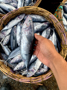READY EXPORT TO MALAYSIA ASIAN FOOD