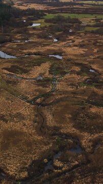 Gentle aerial view showcasing twisting watercourses amid lush brown bogs and serene marshes for nature imagery