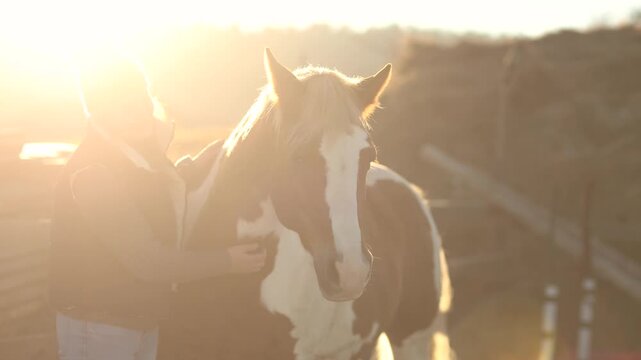 Young woman gently cuddling and stroking her pinto Haflinger mare outdoors in warm winter backlight