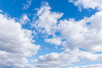 Fototapeta premium 冬の朝の青空と白いふわふわの雲42