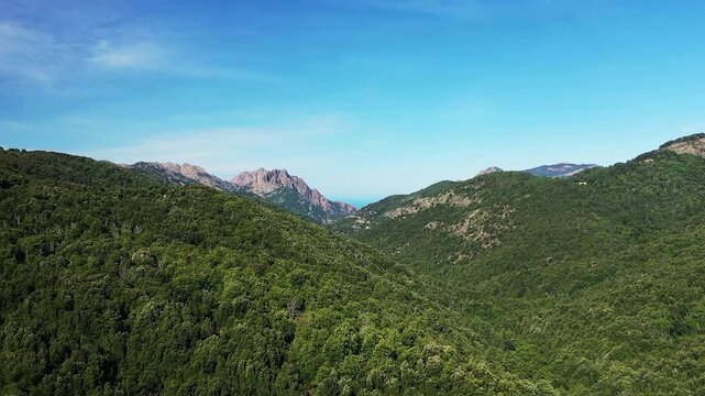Aerial view of verdant mountains and forested hills in the Corsican countryside on a clear summer day. Rugged peaks and distant sea visible under a vibrant blue sky.