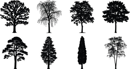 Tree silhouette collection, botanical illustration, forest elements, nature design, diverse tree shapes, landscape vector, foliage pattern, coniferous and broadleaf trees, black tree icons © MSTIRIN