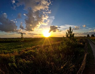 Golden sunset rays bursting over grassy fields and scattered trees