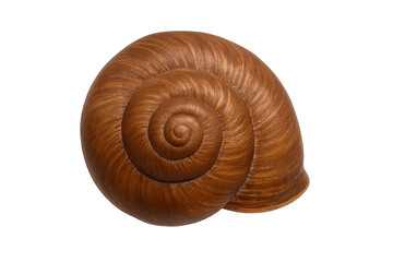 Brown snail shell forming a spiral pattern