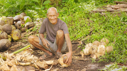 Portrait, old man indonesian farmer smiling, looking at camera, on coconut farm or plantation with...