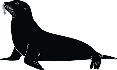 Sea lion seal silhouette vector illustration, marine animal with detailed whiskers and flippers isolated on white background for ocean and wildlife design, © MdAnisur