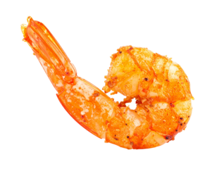 A single seasoned shrimp with a curled tail.