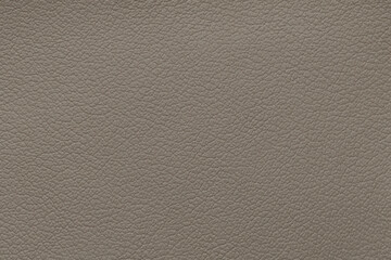 Textured Beige Leather Surface