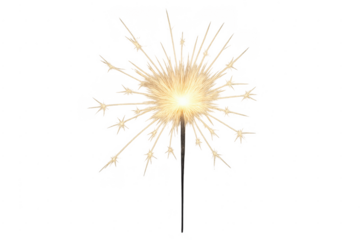 Golden sparkler burning bright for celebration isolated