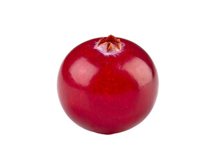 Obraz premium A single ripe red cranberry isolated on a white background.