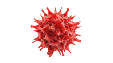 A microscopic view of a vibrant red spiky microorganism or virus particle against black background