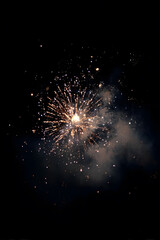A single firework high in the air, bursting gracefully against a deep, dark night sky