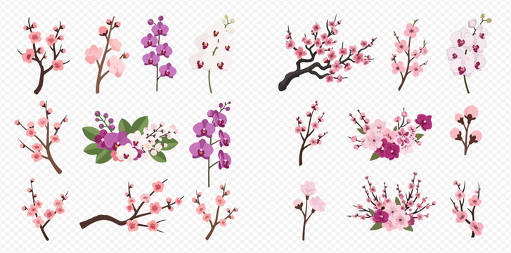 Beautiful collection of cherry blossom and orchid branches with delicate flowers and buds, perfect for spring designs.