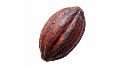 A single dark brown cocoa pod with deep red and brown tones isolated on a pure black background