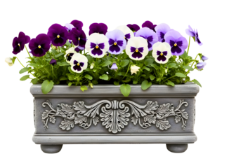Ornate gray planter box with purple and white flowers isolated on transparent background