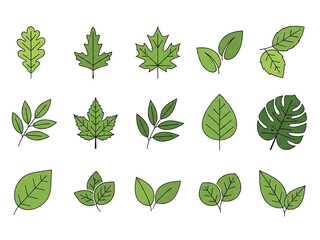 Green Leaf Icon Set &ndash; 16 Unique Botanical Illustrations in Grid Layout