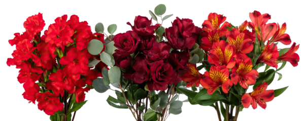 Vibrant floral arrangements displayed on a clean white background with varied red hues and lush greenery
