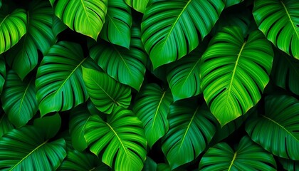 Fototapeta premium Large, vibrant tropical leaves in lush green and deep jungle tones, forming a repeating pattern, foliage, tropical leaves